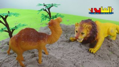 لعبة الاسد و تضحية الجمل الطيب ألعاب حيوانات الغابة للأولاد والبنات