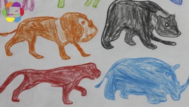 لعبة رسم وتلوين الحيوانات للبنات والاولاد اجمل العاب الاطفال Animals Drawing coloring