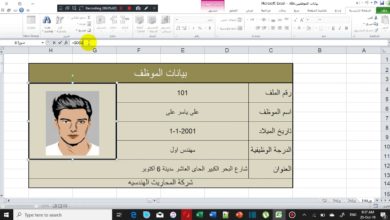 بيانات الموظف مع صورة له فى اكسيل 2010 الواجهه العربيه بمنتهى السهوله