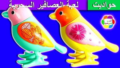 لعبة العصافير السحرية الجديدة للاطفال العاب الحيوانات بنات واولاد magic birds toys set game