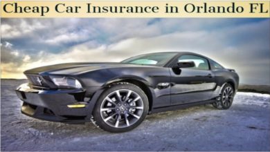 Cheap Car Insurance in Orlando, Florida