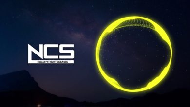Diviners - Falling (feat. Harley Bird) [NCS Release]