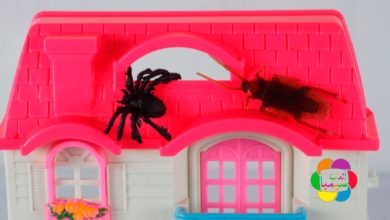 لعبة المنزل الفيلا والحشرات الحقيقية العاب اطفال للبنات والاولاد House game and real insects