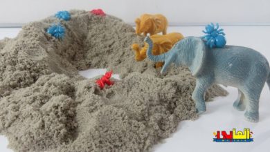 لعبة النملة المسكينة  والفيل المغرور  - أجمل قصص الأطفال - ألعاب أولاد وبنات