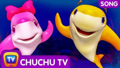 Baby shark doo doo doo doo | 3D Nursery Rhymes & Baby Songs by ChuChu TV