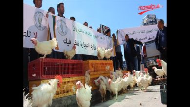 الدجاج يشارك في وقفة احتجاجيّة أمام وزارة التجارة