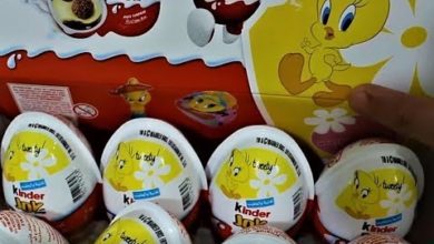 kinder joy surprise eggs :16 kinder joy tweety toys