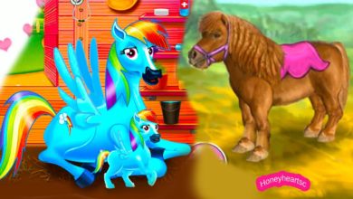 Rainbow Dash Baby + Jumping - Let's Play Online Horse Games -Thank You 50,000 Subbies