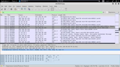 شرح اداة (tcpdump) مع برنامج (wireshark)في توزيعة kalilinux للتجسس على البيانات وطلبات الدخول