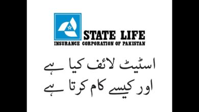 What is State Life Insurance in Urdu