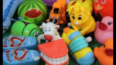 lot of many toys for kids : toys song for kids : toys show for kids