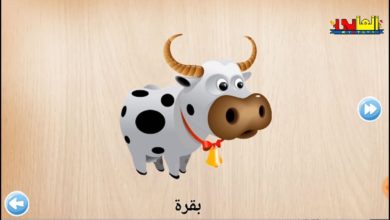 اسماء حيوانات المزرعة واصواتها بالعربى للاطفال