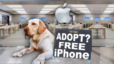 Surprising People with iPhone 11 who Adopt a Dog! Then Customizing Them (Giveaway)