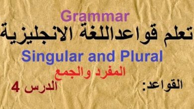 تعلم قواعد اللغة الانجليزية  - القواعد -( الدرس 4 )  Singular and Plural nouns