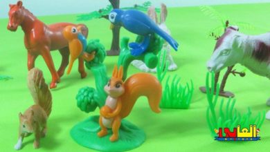 لعبة العصفور زقزق عايز يطير  بمساعدة أصدقائه للأطفال ألعاب حيوانات الغابة للاولاد والبنات