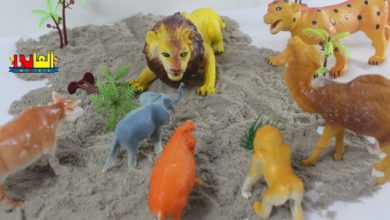 لعبة حيوانات الغابة  الاسد ومكيدة الذئب أجمل ألعاب الحيوانات المتوحشة للأولاد والبنات