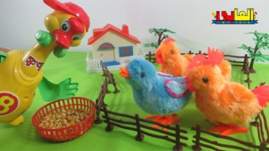 لعبة الكتكوت صوصو الطماع مع أخواته للأطفال ألعاب حيوانات المزرعة السعيدة للأولاد والبنات