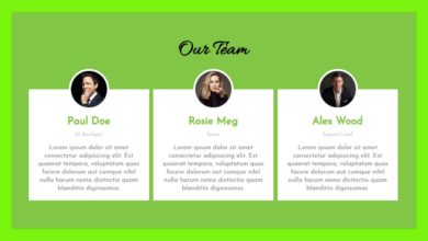 How to create Our Team Section Using HTML and CSS