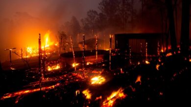 Insurance Council declares NSW north coast bushfires as a catastrophe
