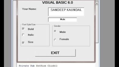 Learn Visual Basic 6.0- Frame Control,Check Box and Option Buttons- Quick and easy