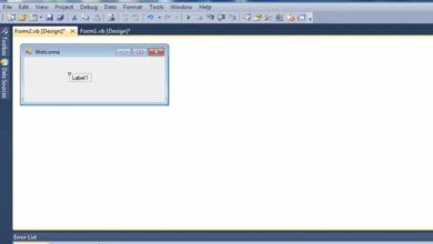 Transfer Information from one form to another in visual basic 2010.