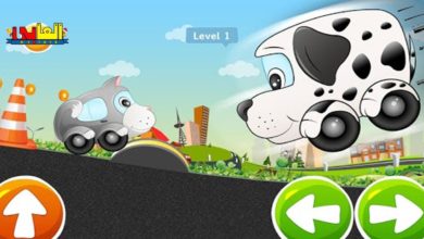 العاب سيارات - لعبة سباق سيارات الاطفال الحيوانات
