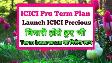 ICICI Launched New Term Insurance Plan ICICI Prudential Precious Life Term Insurance