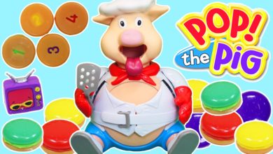 Pop the Pig Family Game!