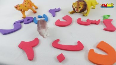 تعليم الحروف العربية للاطفال تعليم الارقام  تعليم الحيوانات البرية للاطفال ولاد وبنات alphabet