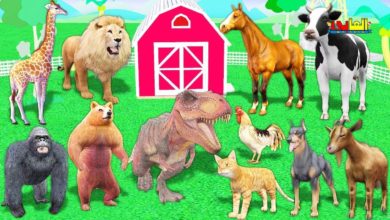 تعليم الاطفال أسماء وأصوات الحيوانات بالانجليزية- ألعاب أطفال/تعليم أطفال Animals names - Alphabet