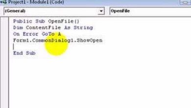 How To Open/Input a Text File in Visual Basic 6.0 With EOF