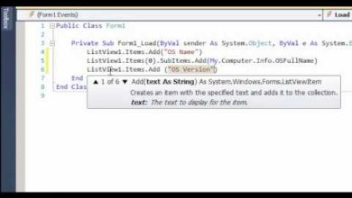 How To Use ListView In Visual Basic 2010