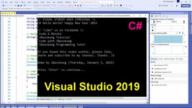 Visual Studio 2019 (C#) : How to Create Your First Program (Super Hello World + Source Code)