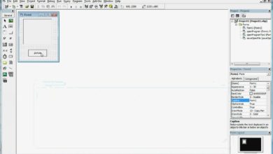 visual basic 6 0 how to load a picture