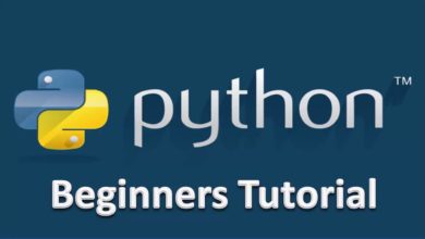 02 - Python -  Beginners Tutorial - Print Output