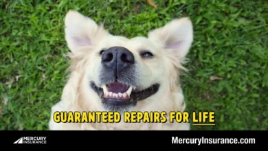 Mercury Insurance...and puppies!