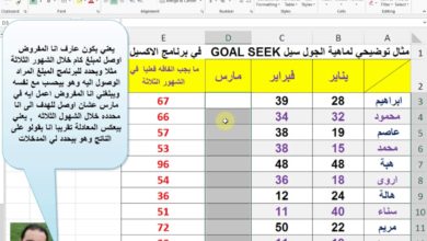 شرح وظيفة الجول سيك GOAL SEEK بمثال توضيحي في برنامج الاكسيل EXCEL ابراهيم محمود مرسي
