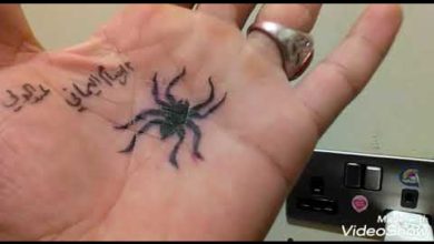 كيف ترسم عنكبوت على اليد " اسهل رسم 🎨