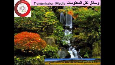 IT_12_2_4_وسائل نقل المعلومات_Transmission Media