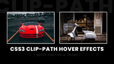 CSS Clip-path Image Hover Effects | Html CSS