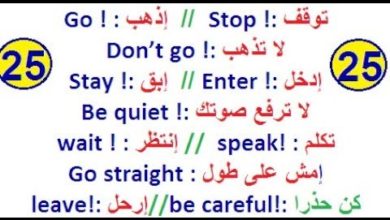 تعلم القواعد اللغة الإنجليزية كاملة: تحدث وتكلم بالإنجليزية مجموعة جمل الأمر شرح سهل وبسيط للمبتدئين