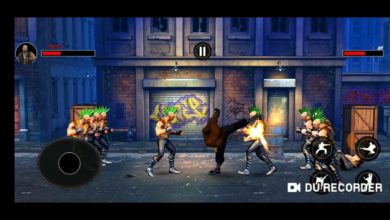 Kings of Street fighting - kung fu future fight