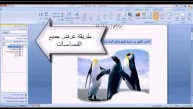 الدرس الثاني تعليم مايكروسوفت اوفس  Microsoft Office Word 2007 دليل محمد الشمري