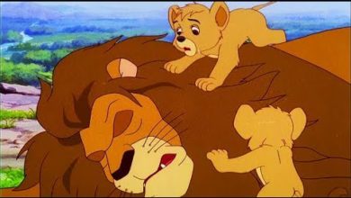 Simba Lion King | سيمبا كينغ ليون | الحلقة 1 | حلقة كاملة | الرسوم المتحركة للأطفال | اللغة العربية