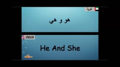 Lesson 1 الدرس (English/Arabic ) Learn English/Arabic تعلم اللغة الإنجليزية والعربية