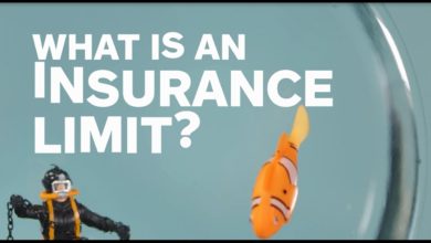 What Is An Insurance Limit? | Allstate Insurance