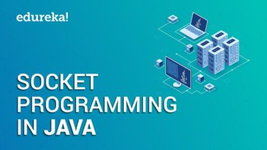 Socket Programming in Java | Client Server Architecture | Java Networking | Edureka