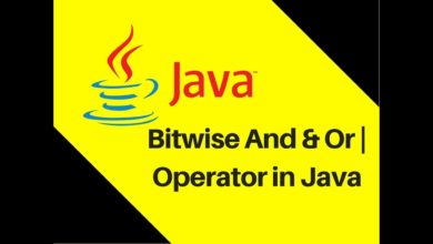 4.6 Bitwise And & Or | Operator in Java