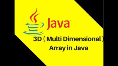 6.13 3D ( Multi Dimensional ) Array in Java