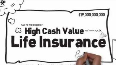 High Cash Value Life Insurance